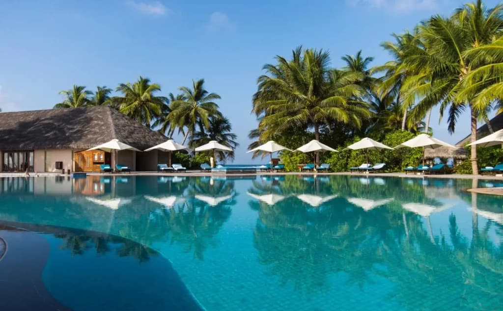 Veligandu Maldives Resort Island Resort - photo 21