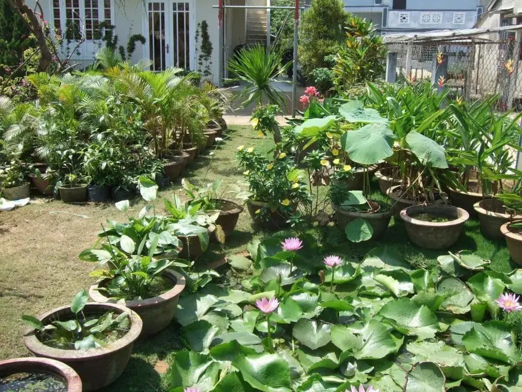 Skybird Homestay - photo 7