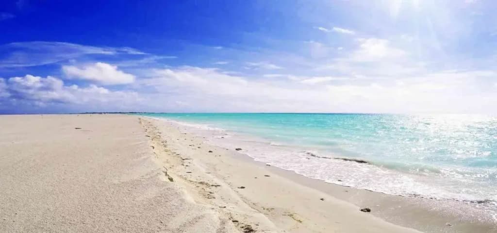 Canopus Retreat Thulusdhoo - photo 8