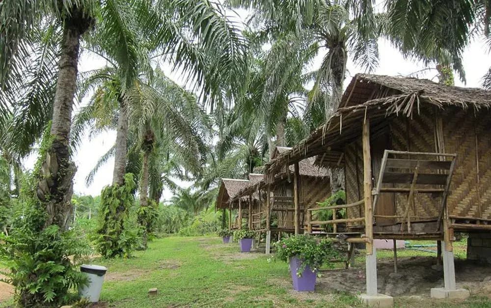 Anavin House - photo 11