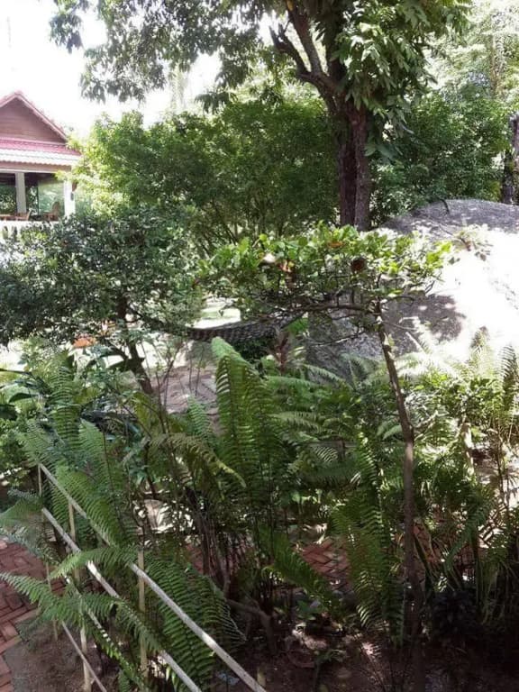 Auberge Resort - photo 13