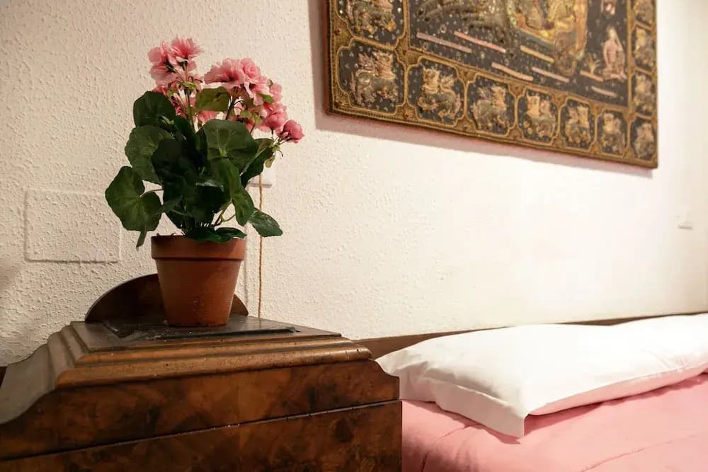 Santa Margherita Apt - photo 12