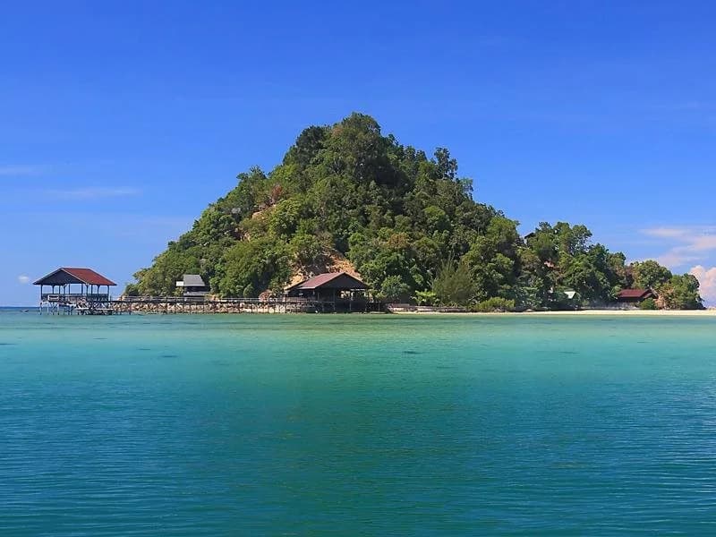 Sunborneo Island Resort - photo 6