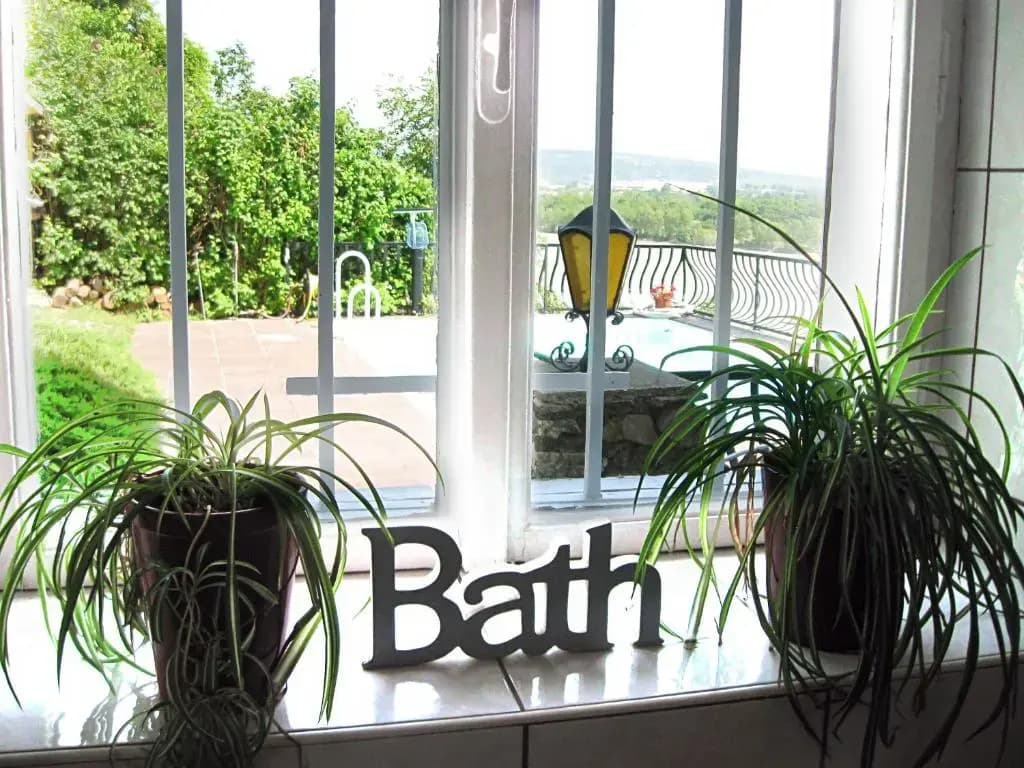 Danube view house with garden - main photo
