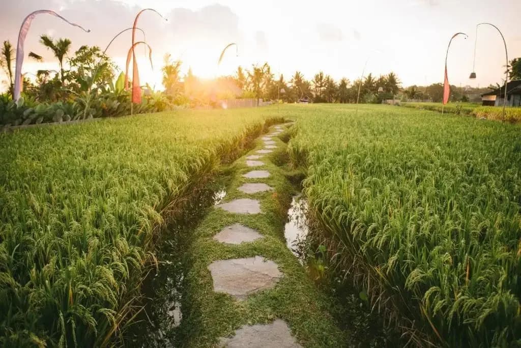 The Runik Ubud - photo 16