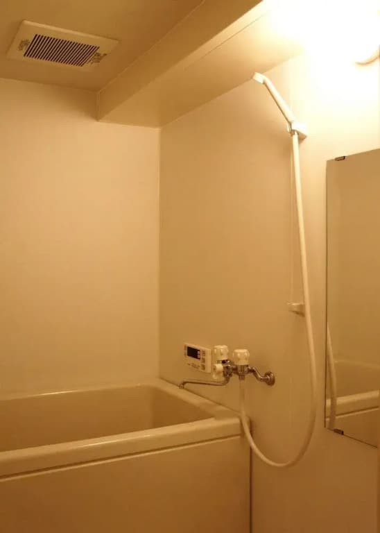 Tiara Court West apartment - photo 7