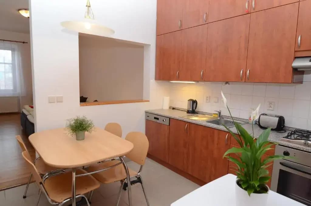 Apartments Karlin - photo 15