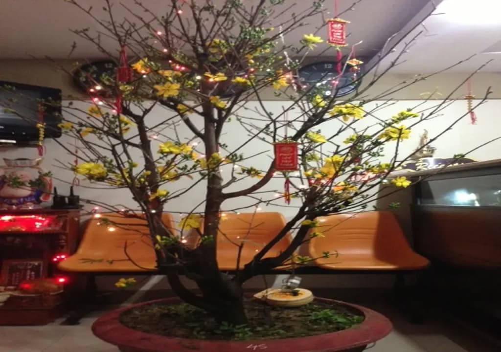 My An Dong Hotel - photo 2