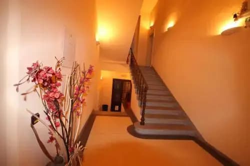 Apartment Halkova 5 - photo 13