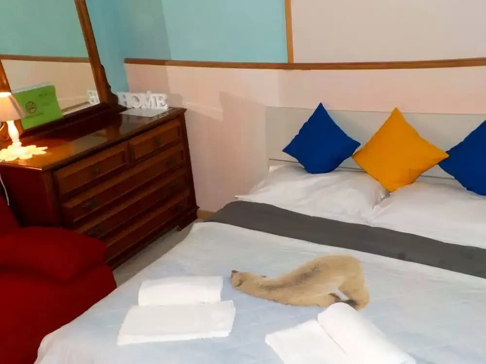Tourist House - photo 5