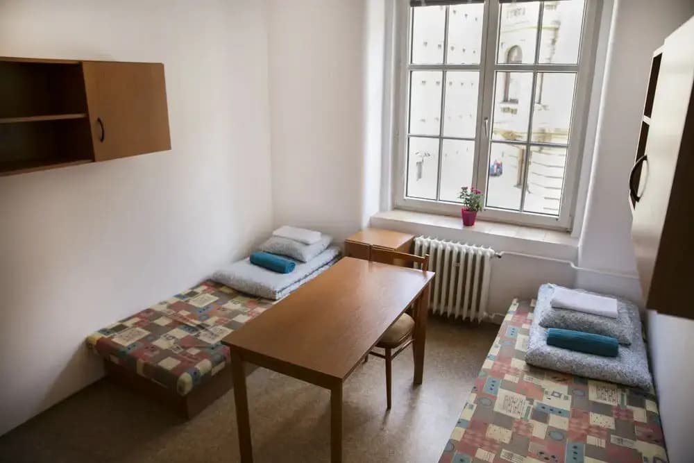 Dizzy Daisy Hostel - photo 3