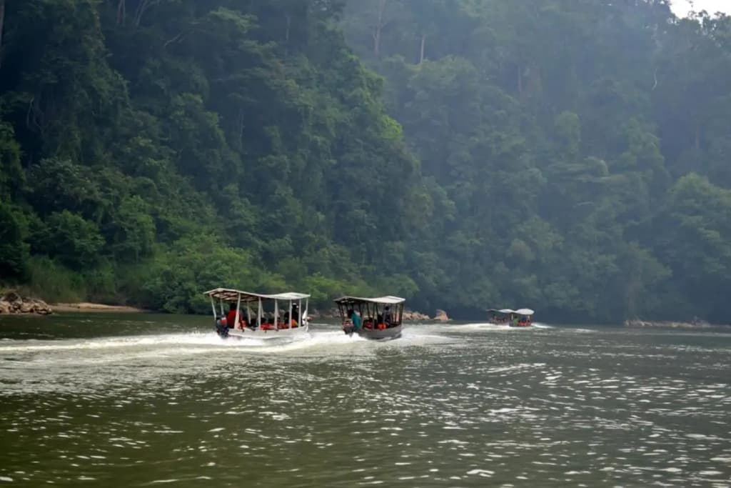 Mutiara Taman Negara - photo 20