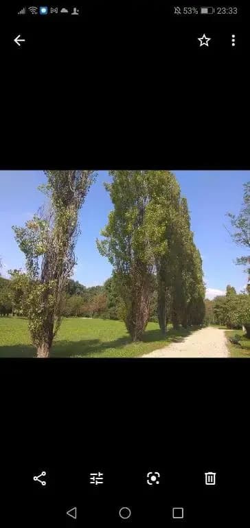Lessona House - photo 8