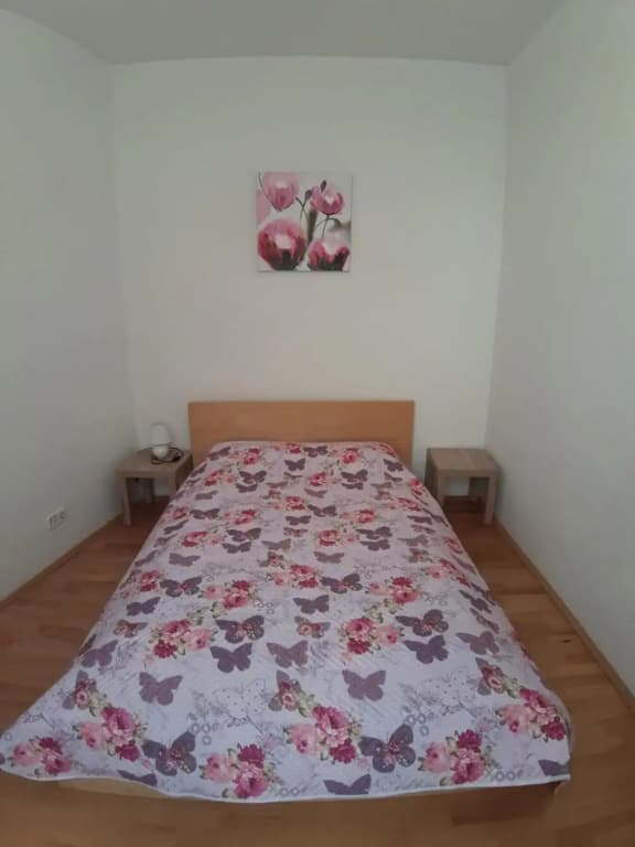 BonBon Apartment - photo 6
