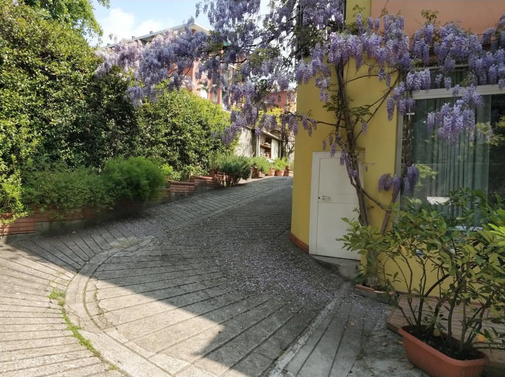 Loft Sottolalbero - photo 16