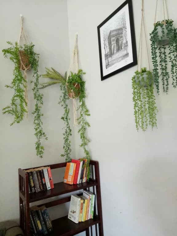 zari house - photo 12