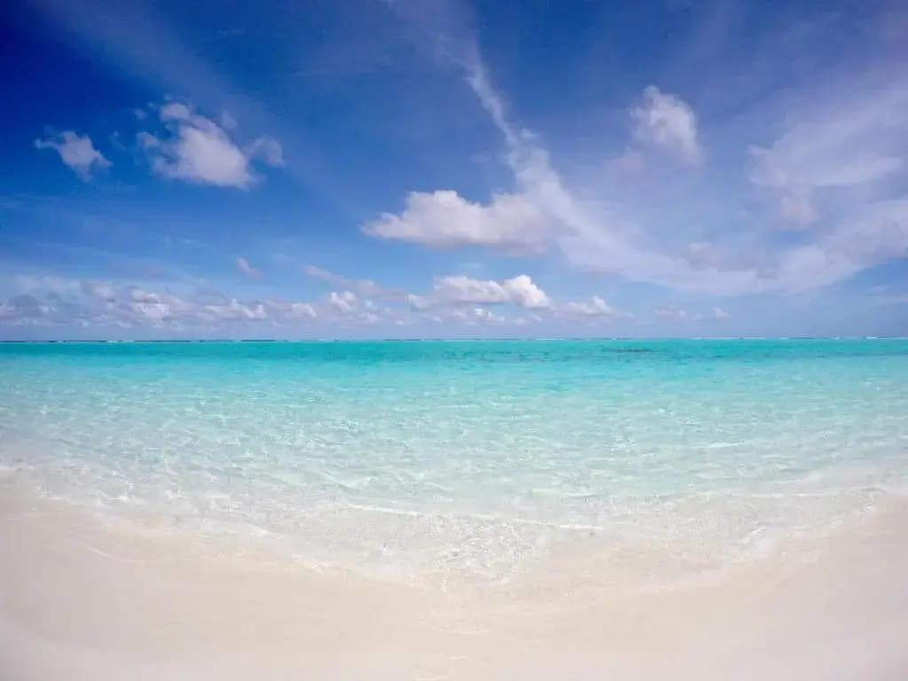 Ahola Thoddoo - photo 8