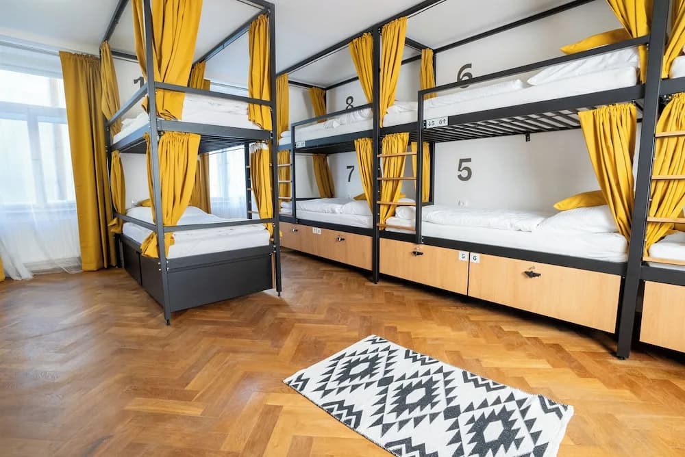 White Wolf House Hostel & Apartments - photo 6