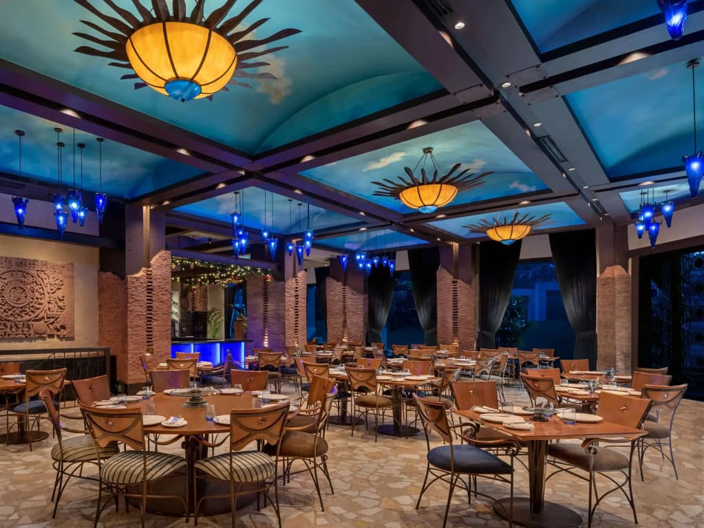 Radisson Blu Plaza Delhi Airport - photo 30