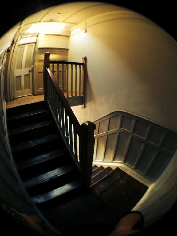 The William IV - photo 11