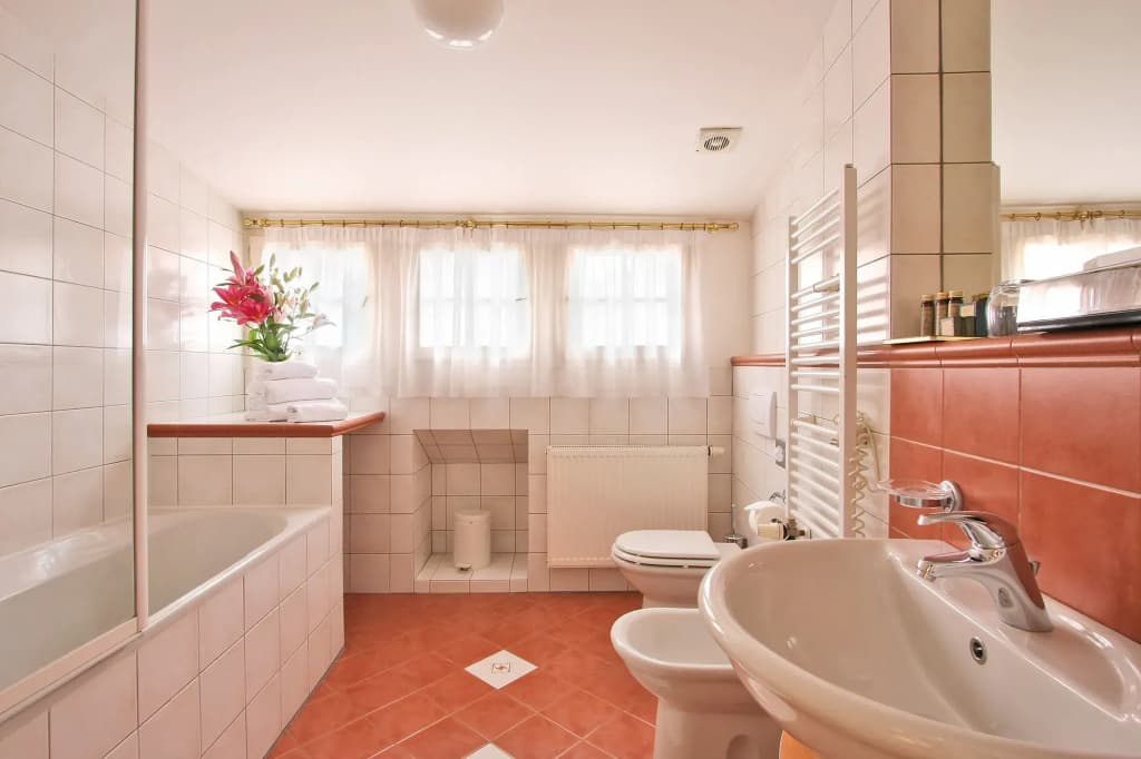 Hotel Residence Retezova - photo 8