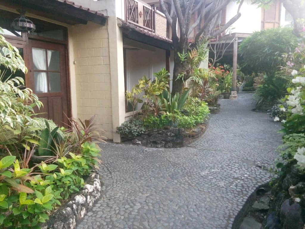 Gazebo Beach Hotel - photo 22