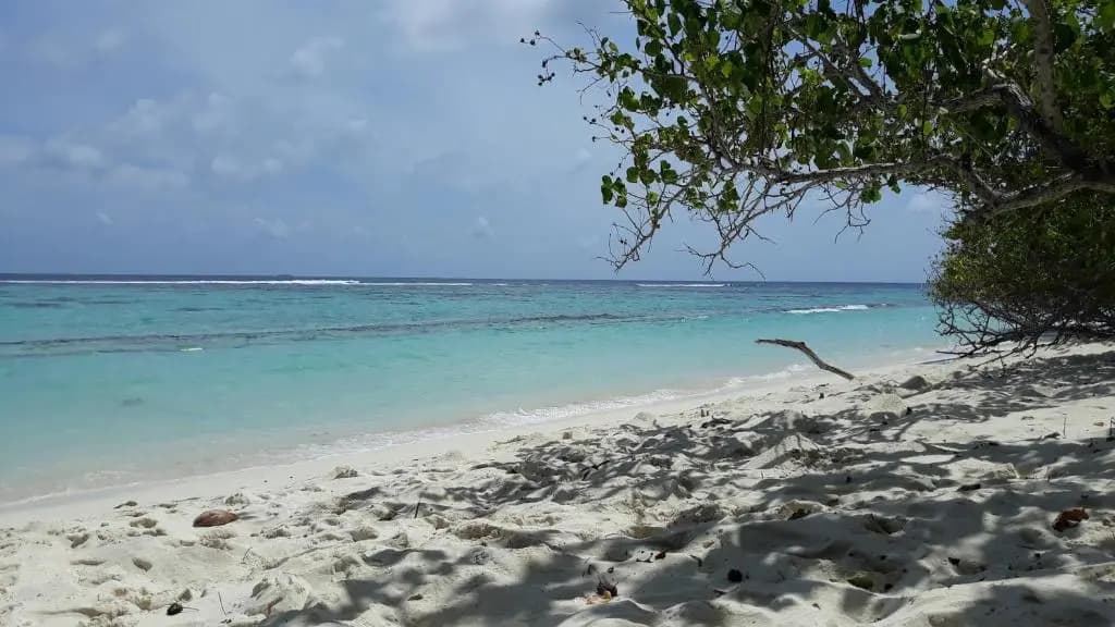 Origami Inn Himandhoo - photo 23
