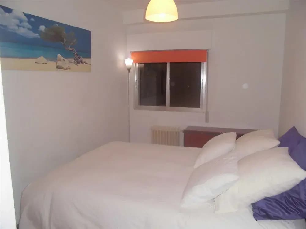 Olmo - photo 4