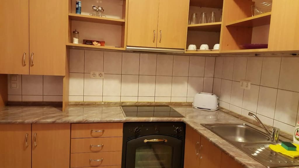 Nepliget Apartment - photo 15