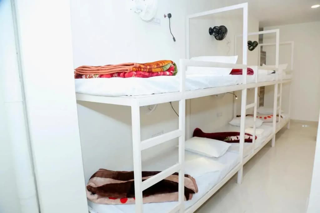The Charlie's hostel - photo 2