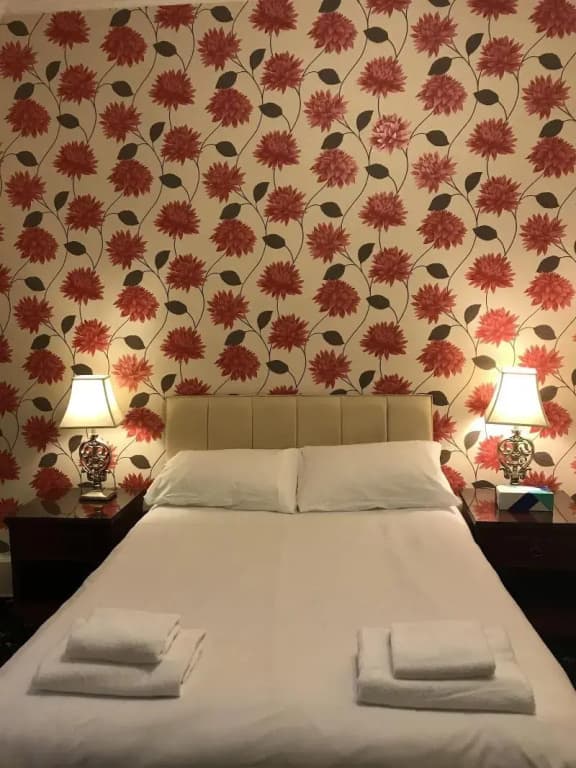 The Alexander Guest House - photo 3
