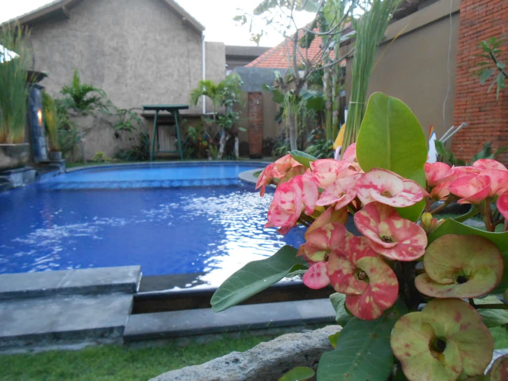 Praschita Bali - photo 11