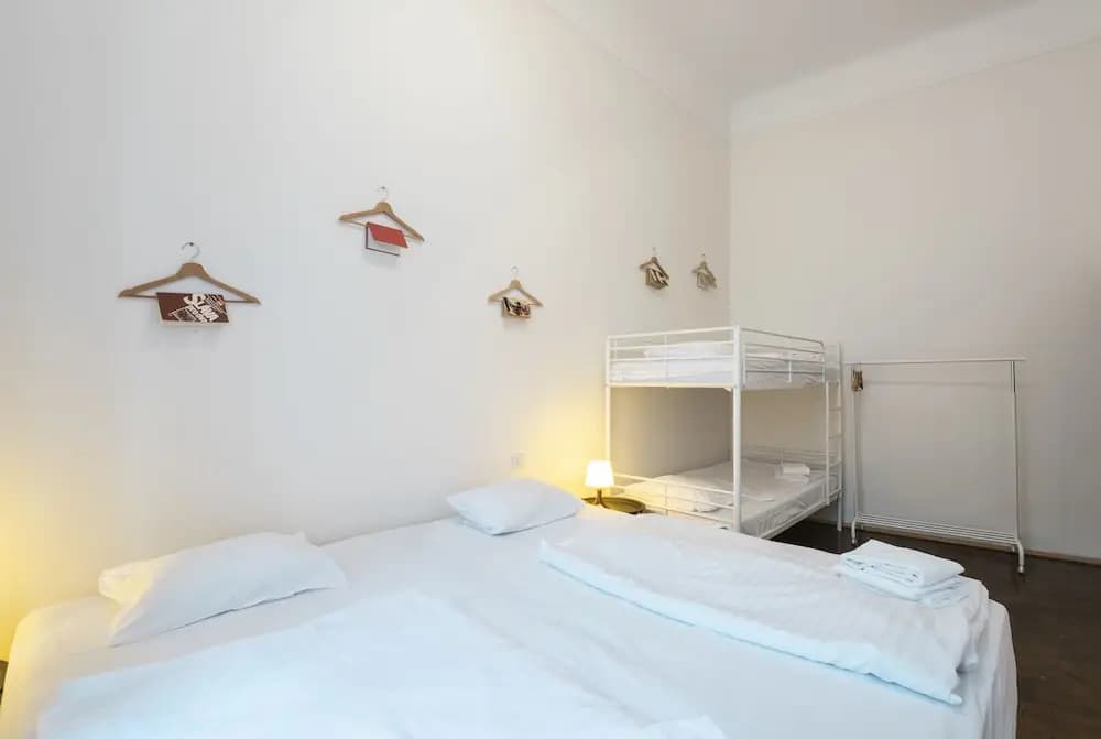 Hybernska Apartments - photo 3