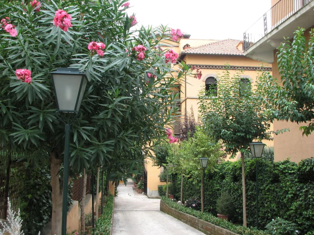 Villa Matissa - photo 16