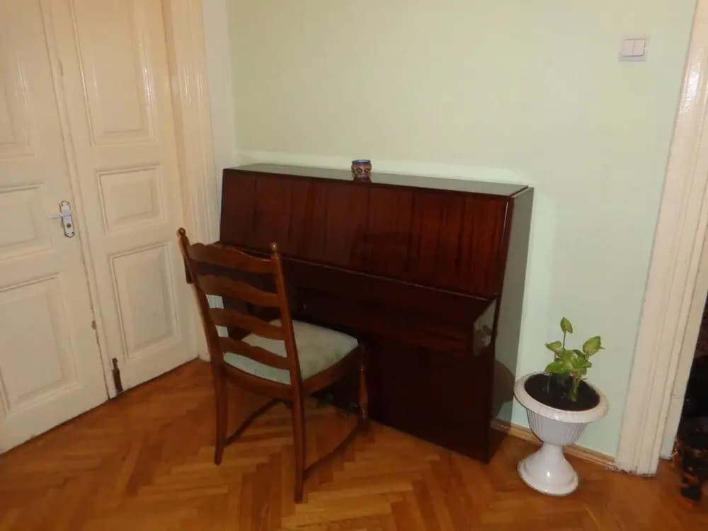 Rustaveli Besiki Apartments - photo 9