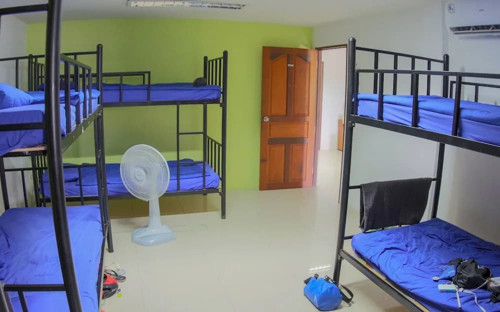 P & T Hostel - photo 13