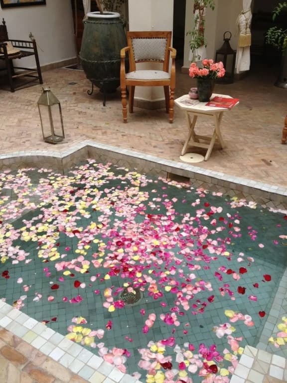 Riad le Coq Fou - photo 21