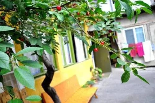Old City Hostel - photo 14
