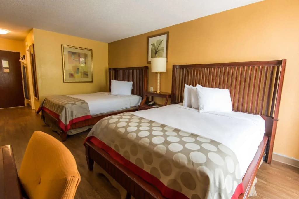 B&B Hotel Orlando International Drive Near Universal - Newly Renovated! - photo 7