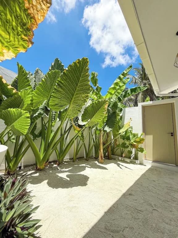 Tropicana Villas - Thoddoo - photo 11