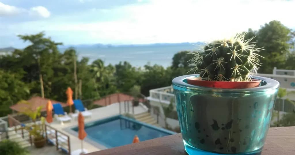 Samui Tree Tops Resort & Pool - photo 35