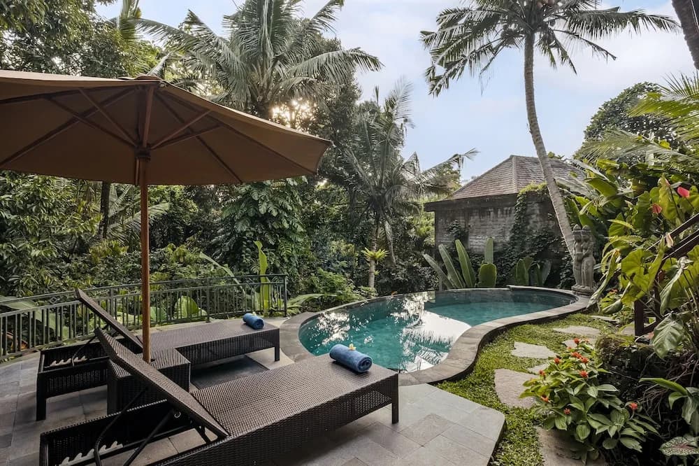 Andara Ubud Villa - photo 11