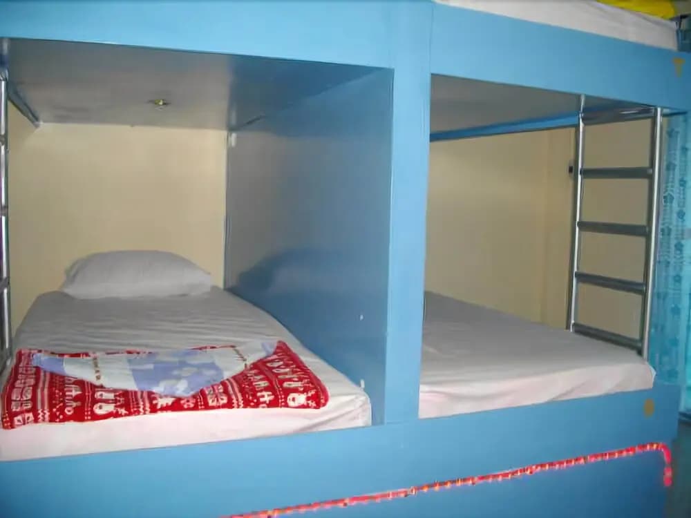 Asia Backpackers - photo 3