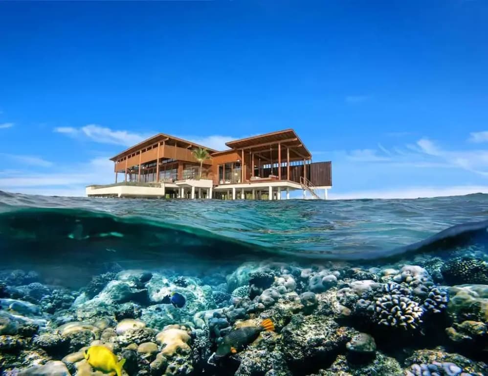 Park Hyatt Maldives Hadahaa Resort - photo 50