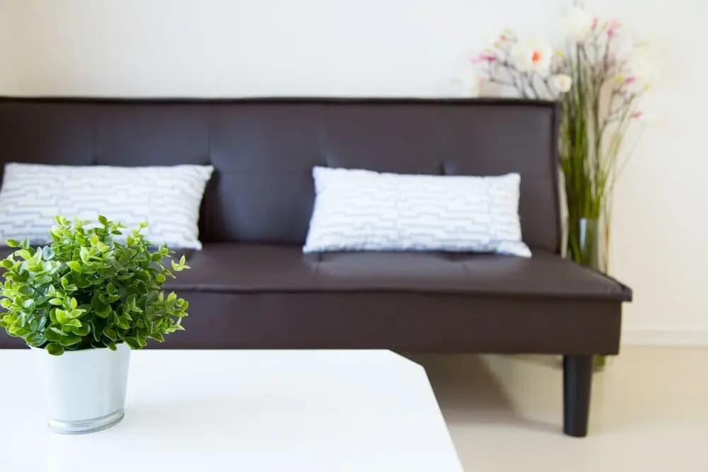 White Chaya - photo 27