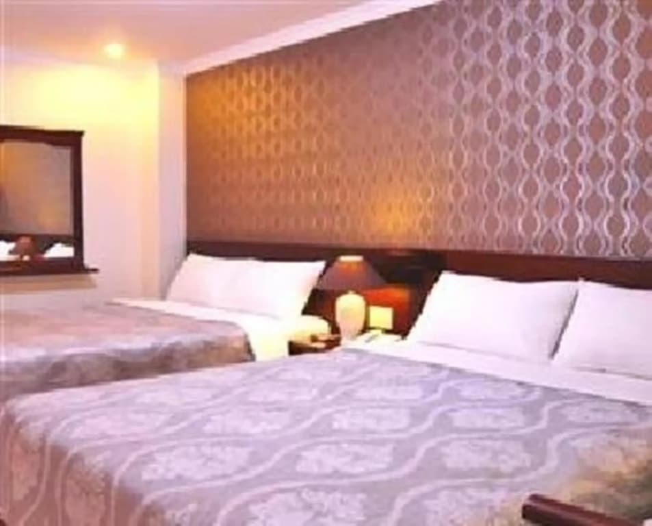 Nice Swan Hotel - photo 2