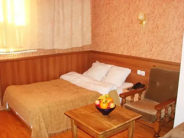 Hotel Skip - photo 2