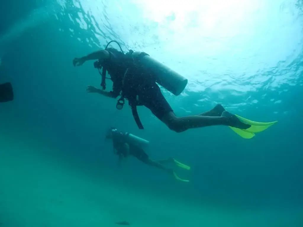 Seahorse Diver Guesthouse - photo 1