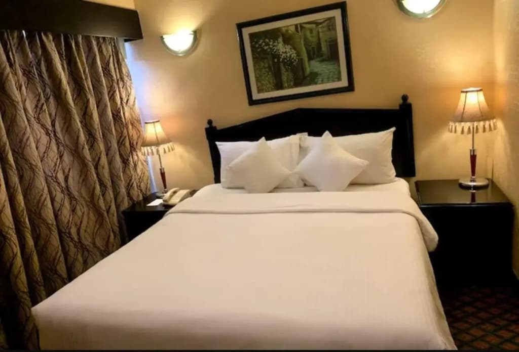 GSS Palace Hotel - photo 36