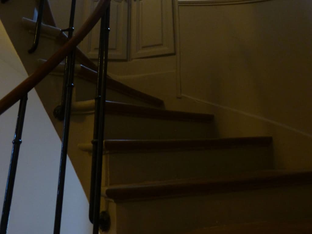 Hôtel Little Regina - photo 12